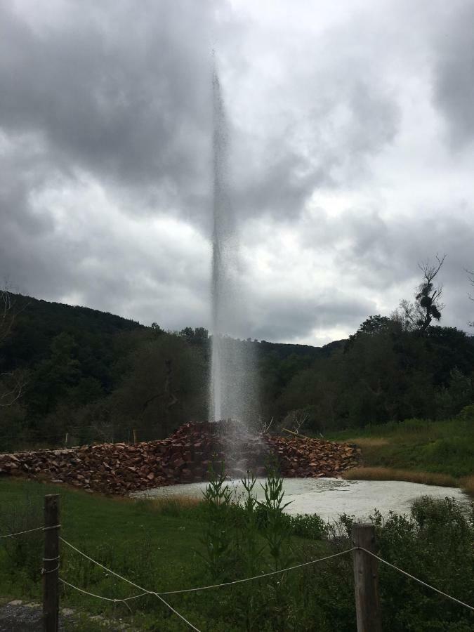 Gasthaus Stammbaum Andernach Eksteriør billede